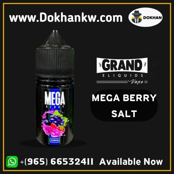 MEGA BERRY SALT 30