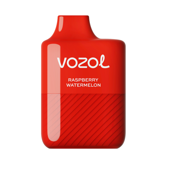 Vozol Alien 5000 Puffs paspberry watermelon